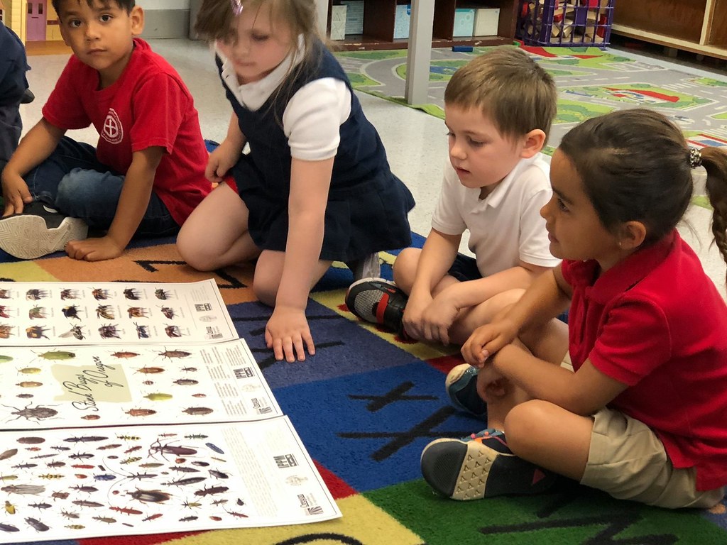 Creative commons photo of four preschool children sitting on the floor; one boy looks at the camera; one girl and one boy look at beetle and insect posters on the floor in front of the group; one girl looks off camera, apparently at a teacher